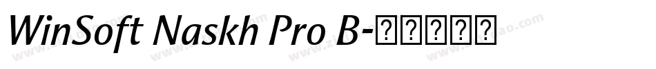 WinSoft Naskh Pro B字体转换